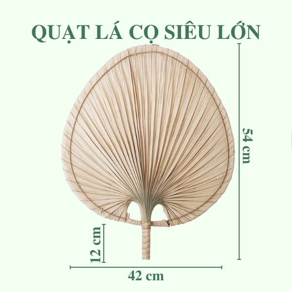 ảnh của sản phẩm Quạt Lá Cọ - Quạt Cầm Tay Đan Thủ Công Decor / Treo tường số 11