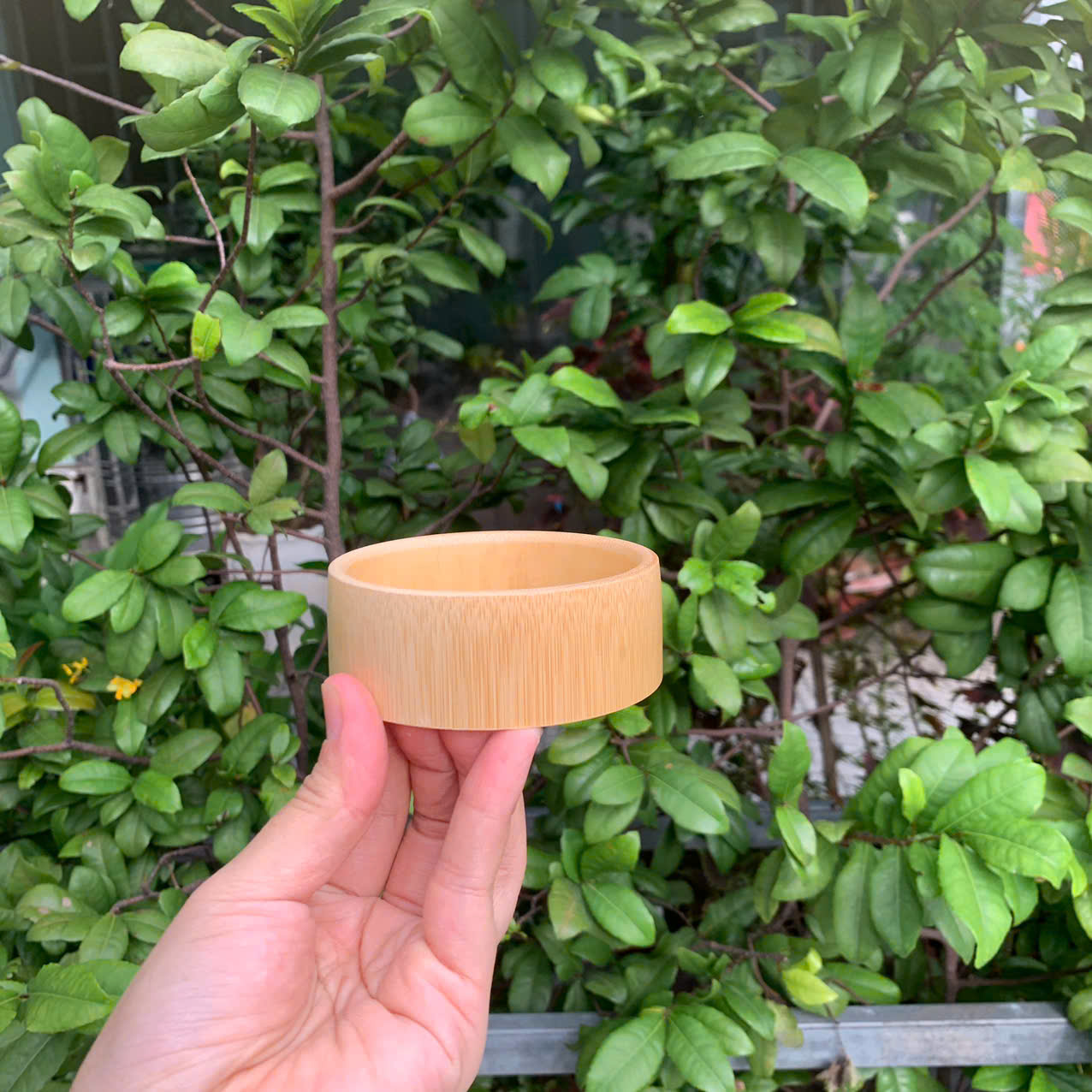 Giá đỡ dừa bằng tre dùng trong nhà hàng , khách sạn / Đế tre lót dừa giá 12,000 đang rẻ nhất thị trường