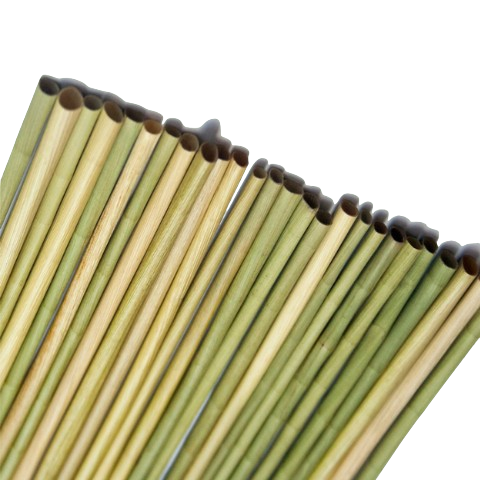 Combo 500 ống hút cỏ bàng 20cm - Ống hút tự nhiên thân thiện môi trường giá 300,000 đang rẻ nhất thị trường