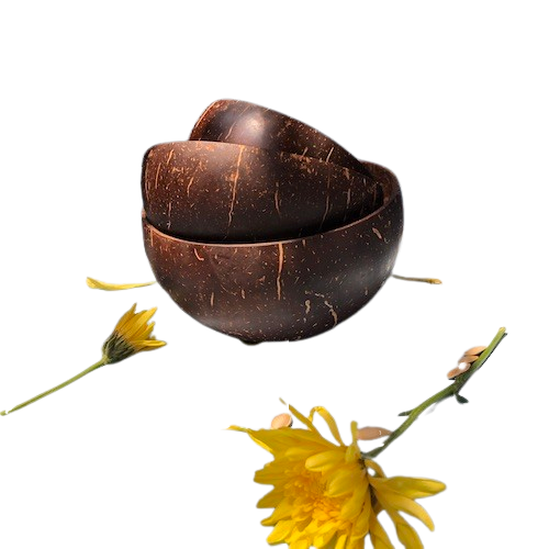 Bát gáo dừa- Coconut Shell Bowl giá 16,000 đang rẻ nhất thị trường