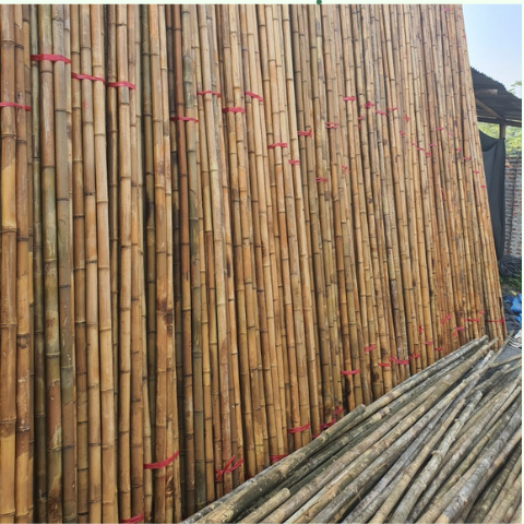 Nguyên Liệu Tre Trúc Xây Dựng - Kho Tre Miền Nam giá 11,000 đang rẻ nhất thị trường