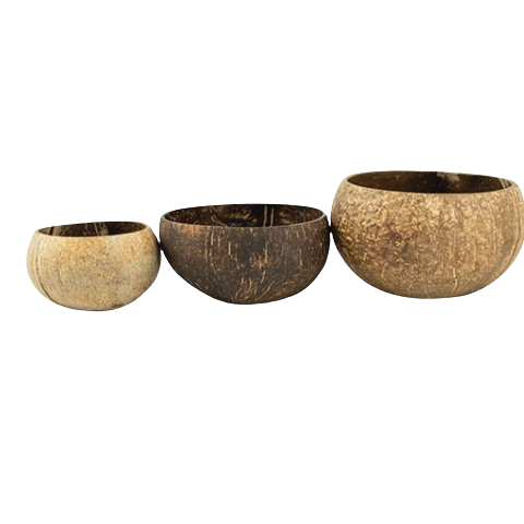 Chén gáo dừa thô - Raw Coconut Shell Bowl giá 15,000 đang rẻ nhất thị trường