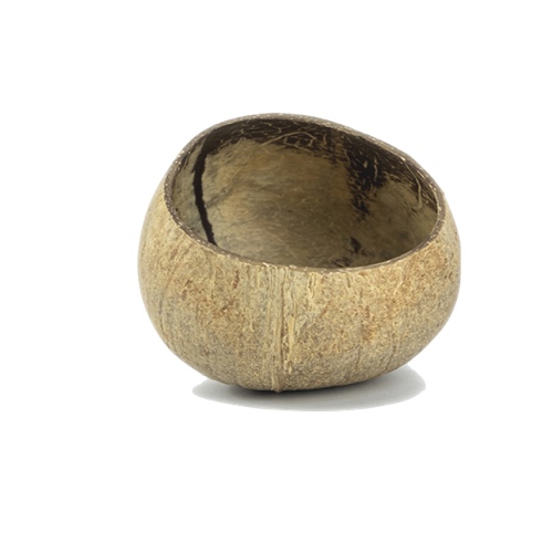 Chén gáo dừa thô - Raw Coconut Shell Bowl giá 15,000 đang rẻ nhất thị trường