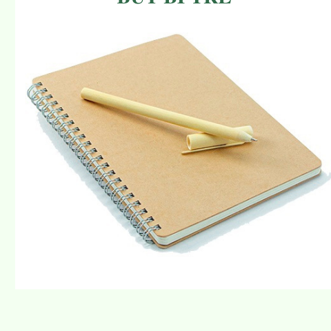 Bút bi tre - Bamboo Pen giá 30,000 đang rẻ nhất thị trường