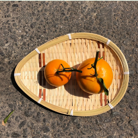 Mẹt Tre Hình Giọt Nước - Dĩa tre đựng đồ chụp ảnh giá 25,000 đang rẻ nhất thị trường