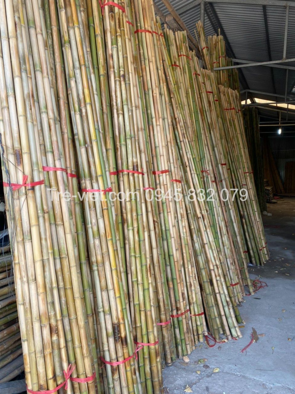 ảnh của sản phẩm Nguyên Liệu Tre Trúc Xây Dựng - Kho Tre Miền Nam số 9