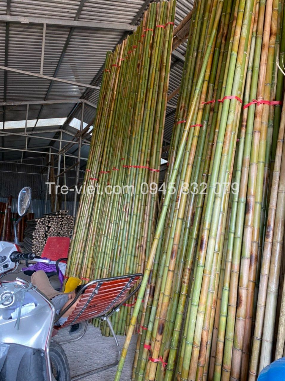 ảnh của sản phẩm Nguyên Liệu Tre Trúc Xây Dựng - Kho Tre Miền Nam số 5