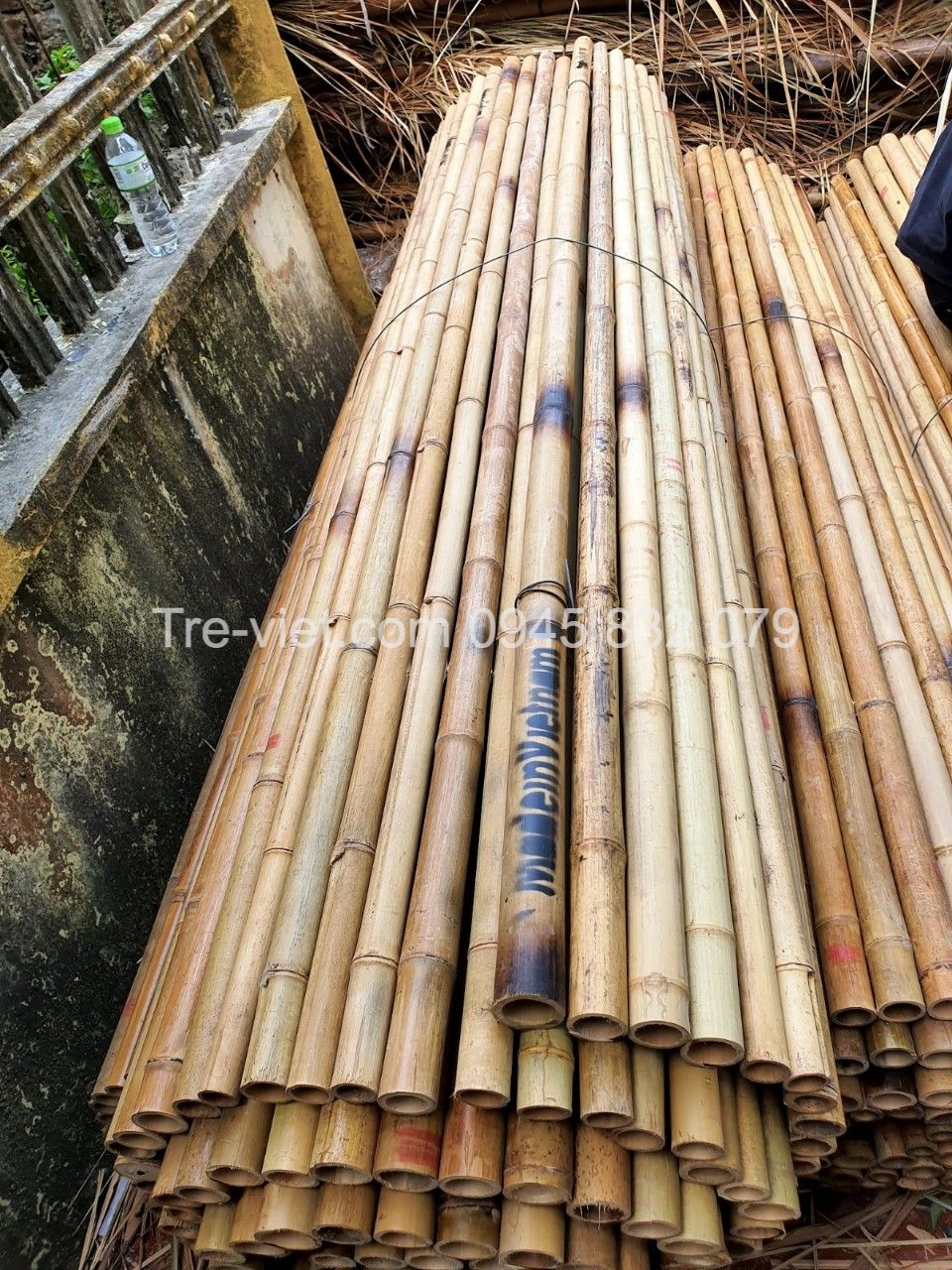 ảnh của sản phẩm Nguyên Liệu Tre Trúc Xây Dựng - Kho Tre Miền Nam số 4