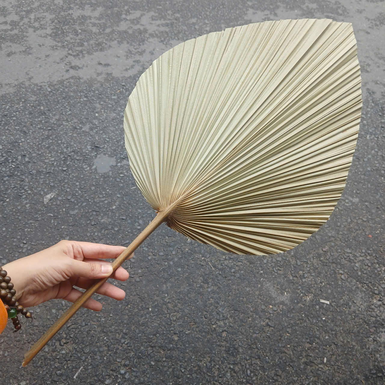 ảnh của sản phẩm Quạt Lá Cọ - Quạt Cầm Tay Đan Thủ Công Decor / Treo tường số 12