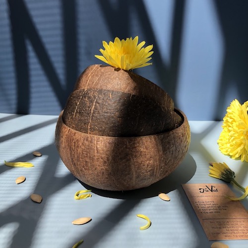 Chén gáo dừa thô - Raw Coconut Shell Bowl giá 15,000 đang rẻ nhất thị trường