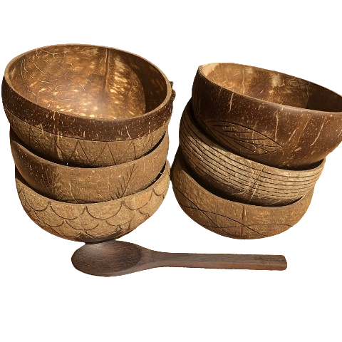 Bát Gáo Dừa Kiểu - Bát Gáo Dừa Khắc - Coconut Bowl giá 30,000 đang rẻ nhất thị trường