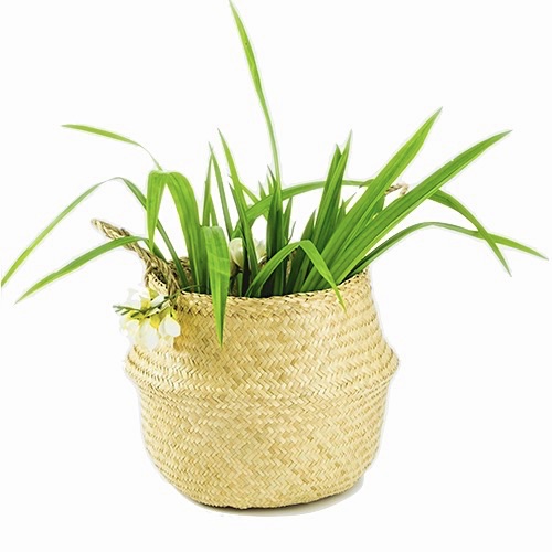 ảnh của sản phẩm Giỏ cói trồng cây - Sedge Basket số 4