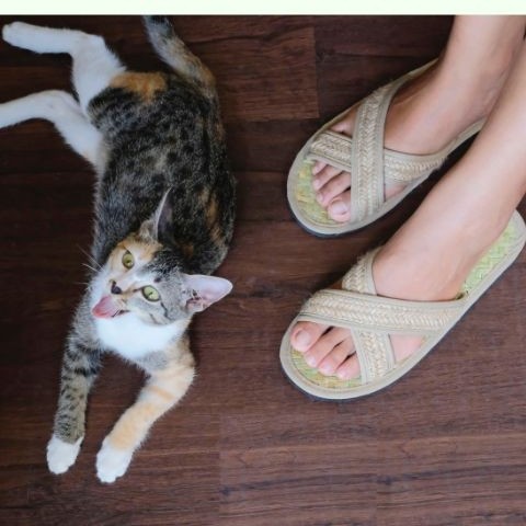 Dép Cói Mang Trong Nhà - Dép Đi Làm Văn Phòng/ Đi Chơi - Slippers giá 120,000 đang rẻ nhất thị trường