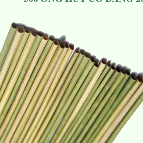 Combo 500 ống hút cỏ bàng 20cm - Ống hút tự nhiên thân thiện môi trường giá 300,000 đang rẻ nhất thị trường