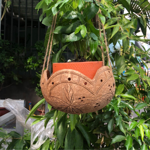 Gáo Trồng Lan - Chậu Trồng Cây Bằng Gáo Dừa (nhiều mẫu) (Tặng kèm dây thừng) giá 29,000 đang rẻ nhất thị trường