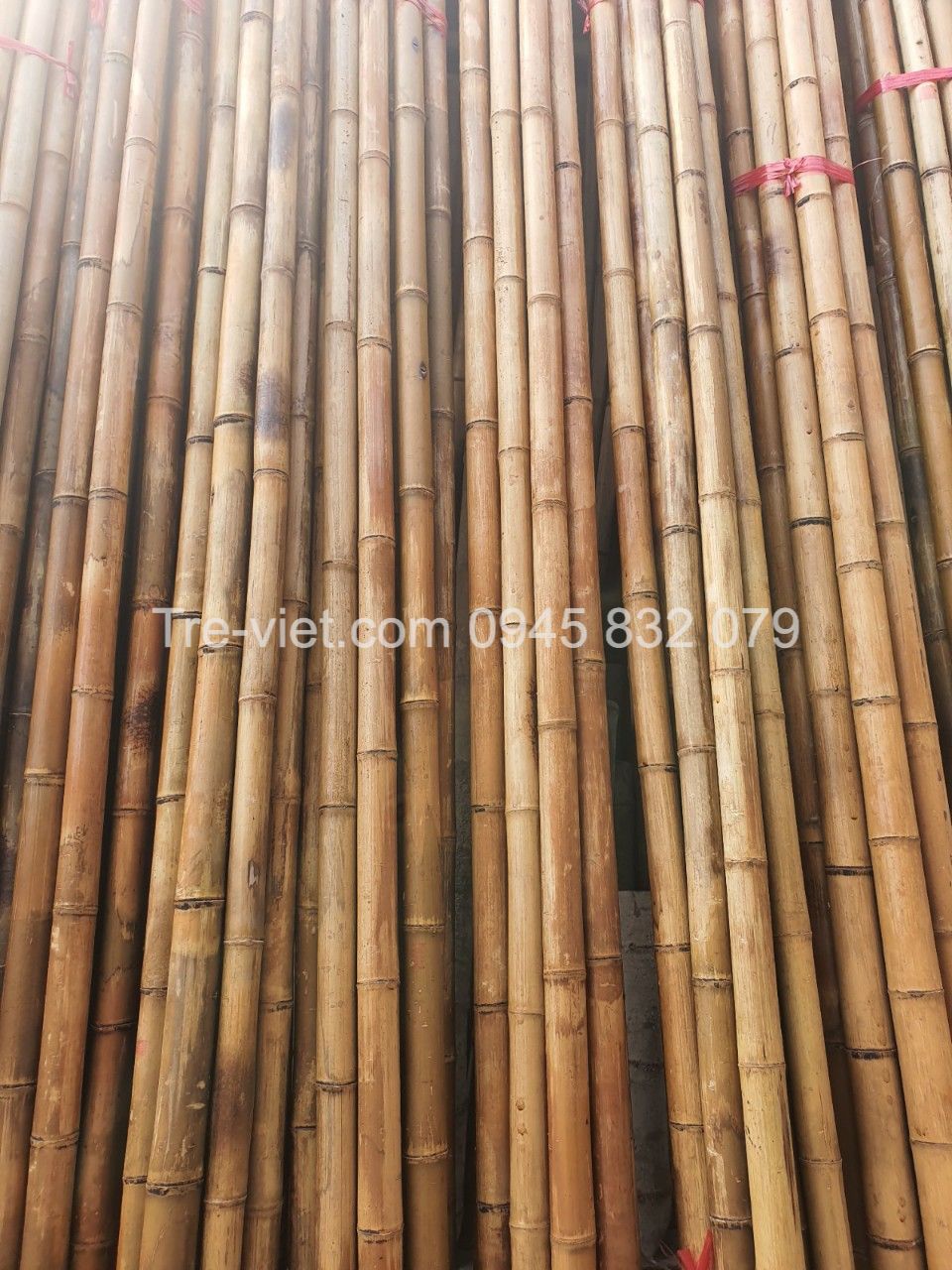 ảnh của sản phẩm Nguyên Liệu Tre Trúc Xây Dựng - Kho Tre Miền Nam số 8